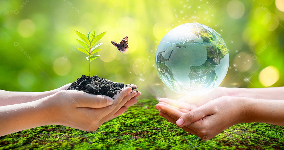 Conceito salve o mundo salve o meio ambiente o mundo está na grama do fundo verde bokeh