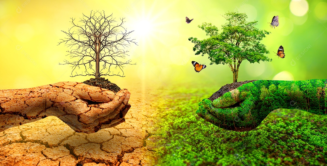 Árvore em duas mãos com ambientes muito diferentes dia da terra Aquecimento global e poluição