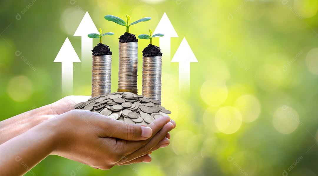 O crescimento das finanças empresariais a gradação do baixo para o alto