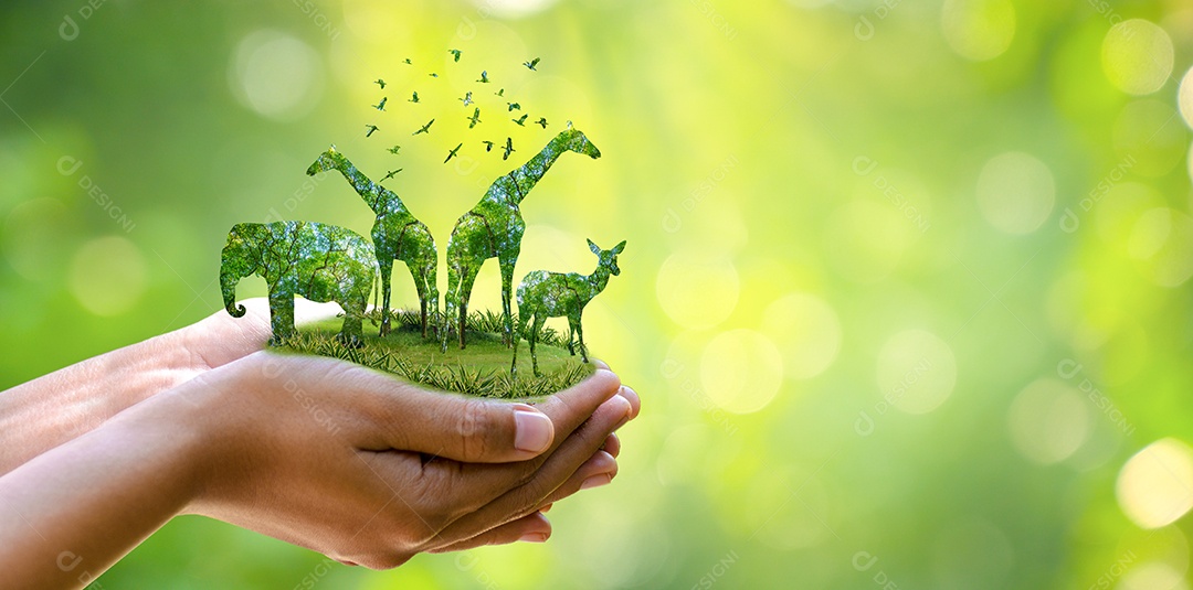 Grupos de animais selvagens foram reunidos nas mãos das pessoas