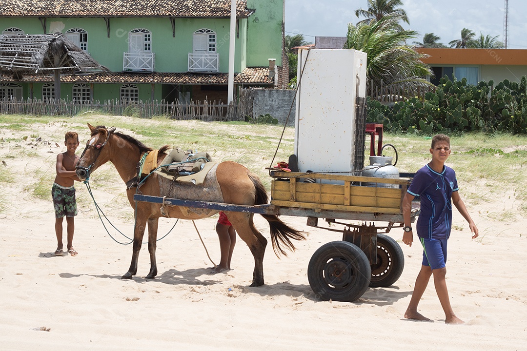 Carroça levando cargas sobre dunas areia