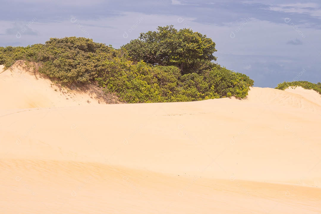 Paisagem dunas areia sobre dia ensolarado