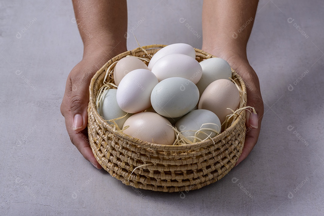 Ovos de galinha caipira. Mãos segurando ovos de galinha orgânicos