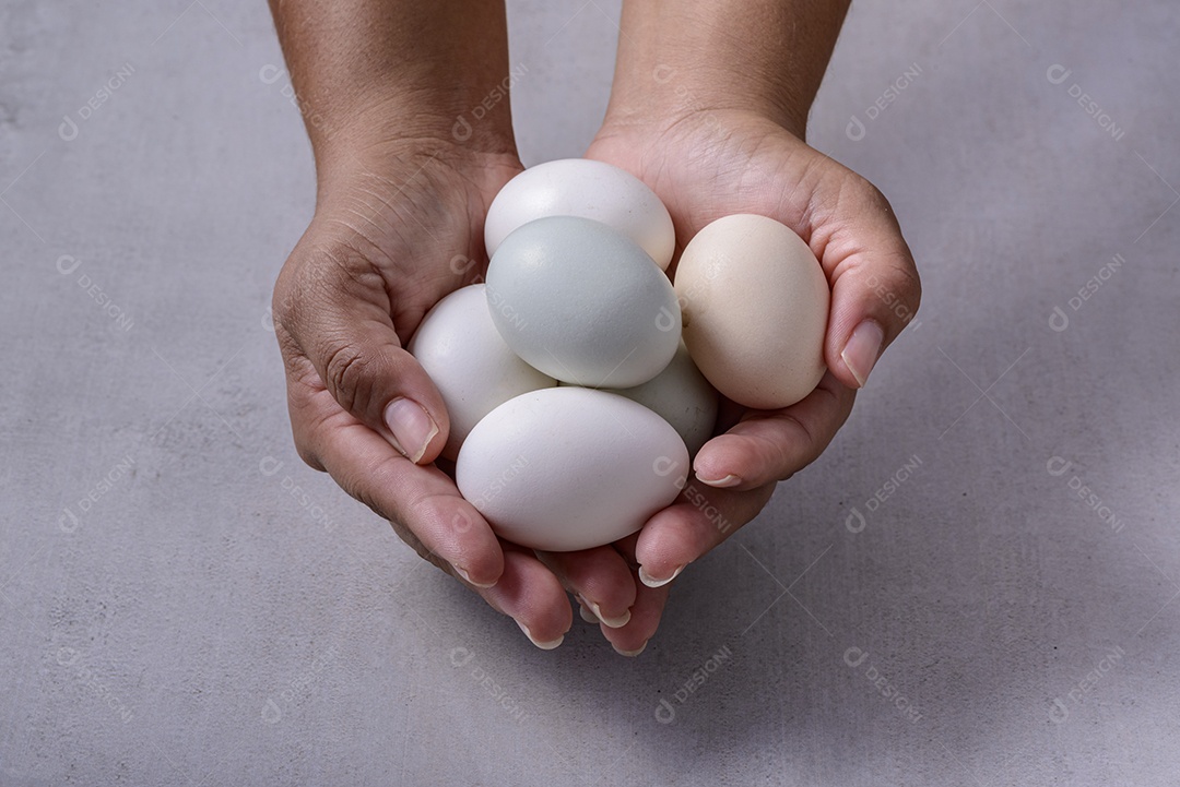 Ovos de galinha caipira. Mãos segurando ovos de galinha orgânica