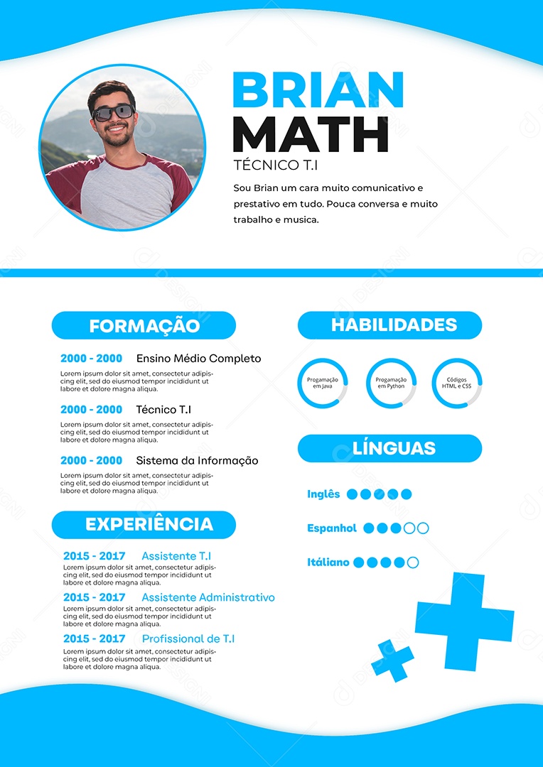 Modelo de Currículo Técnico T.I PSD Editável