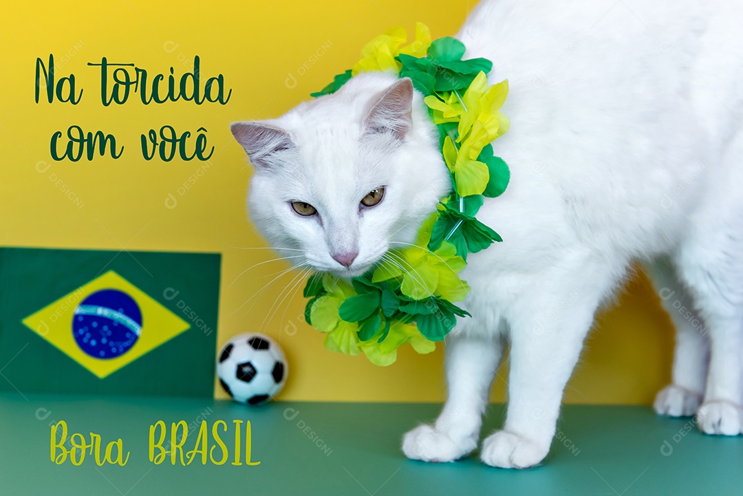 Gato Fã do Brasil, gato branco ao lado da bandeira brasileira.