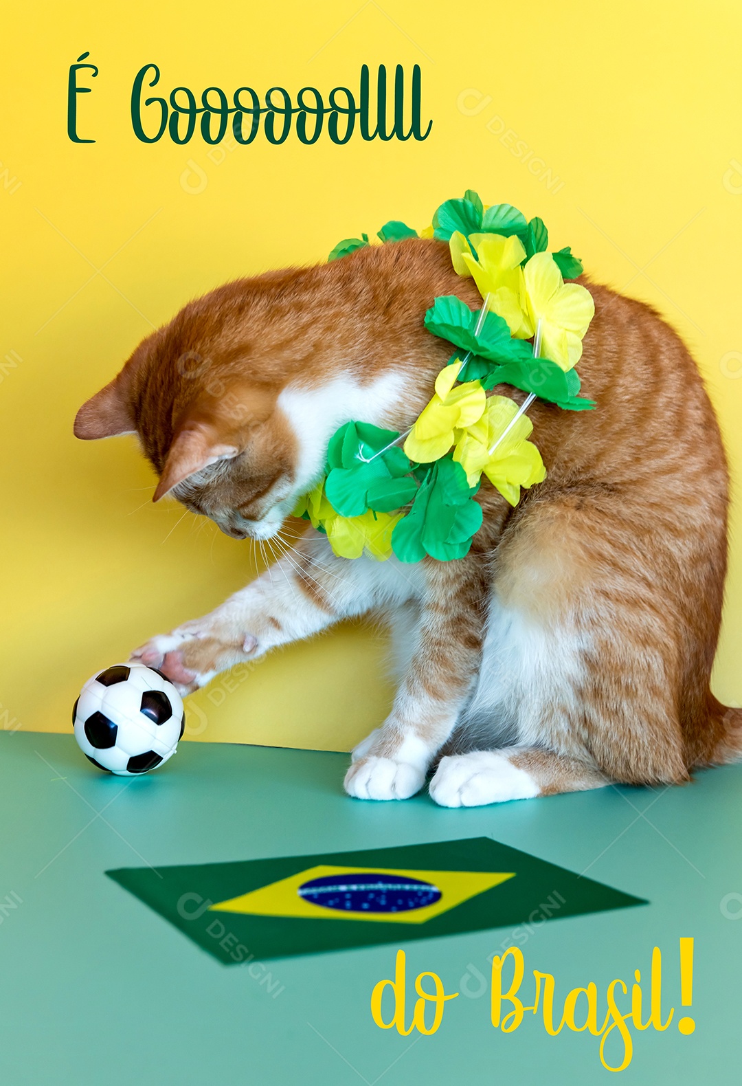 Gato Fã do Brasil, gato amarelo ao lado da bandeira brasileira.