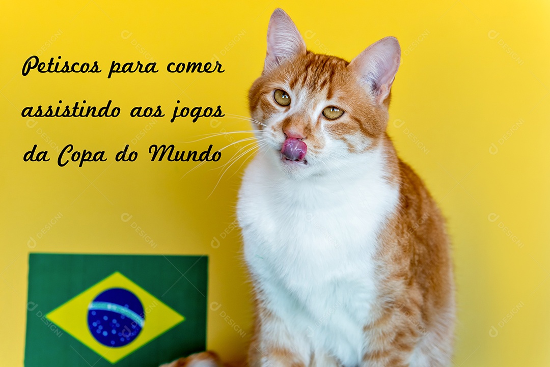 Gato amarelo com língua de fora em fundo amarelo ao lado do Braz.