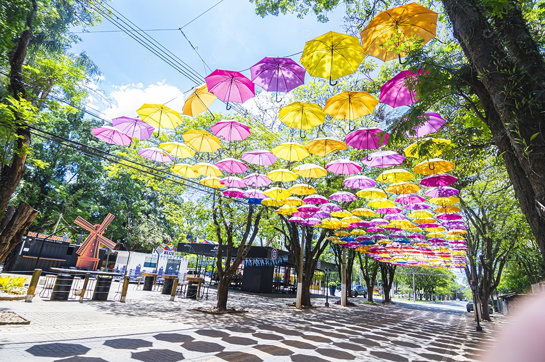 Guarda-chuvas coloridos na alameda mauricio de nassau holambra-sp uma cidade