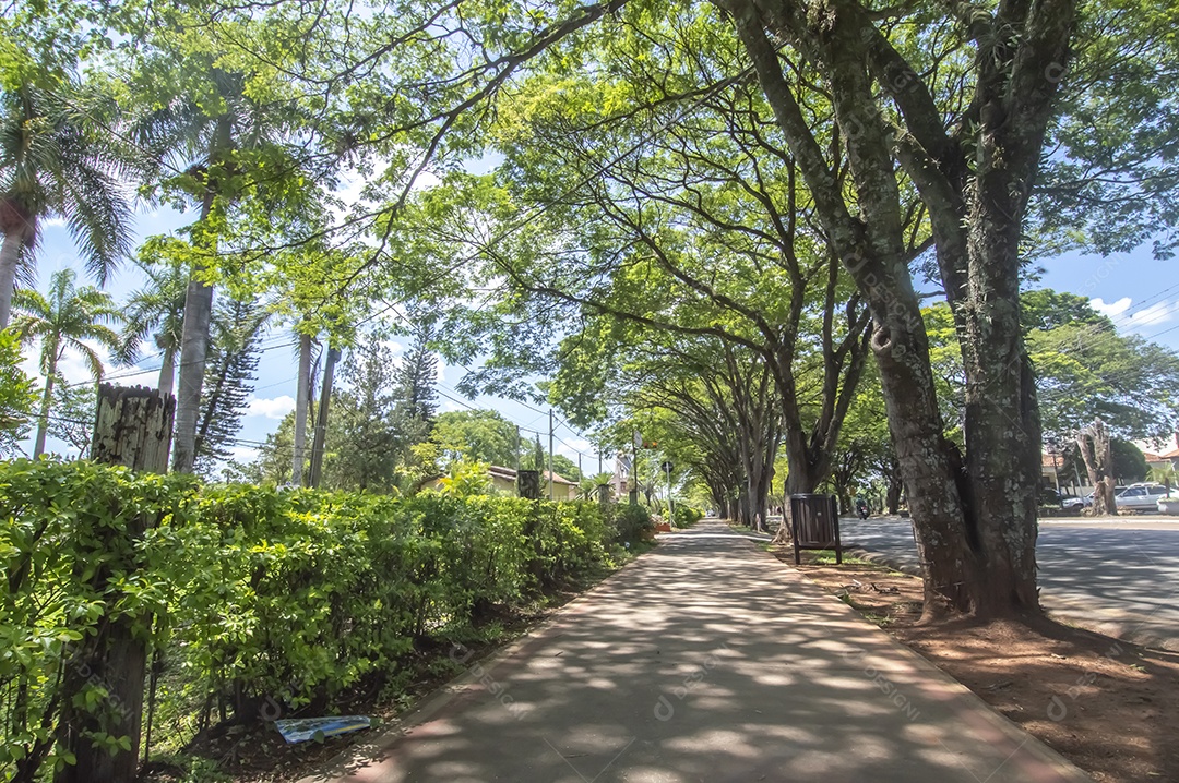Centro social de holambra-sp uma cidade conhecida por ser a cidade das flores
