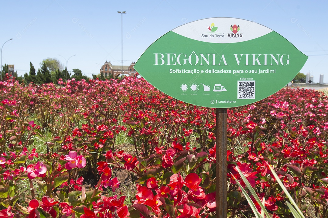 Entrada da cidade de holambra-sp uma cidade conhecida por ser a cidade das flores