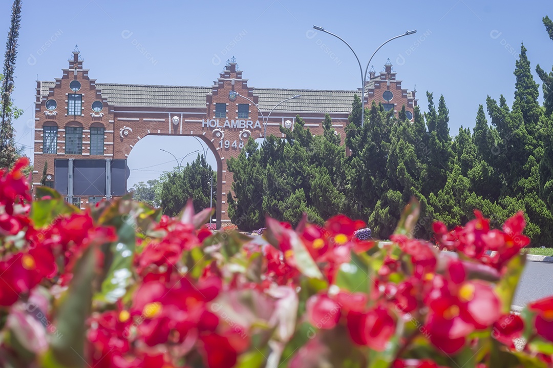 Flores, vários tipos de flores coloridas com cores