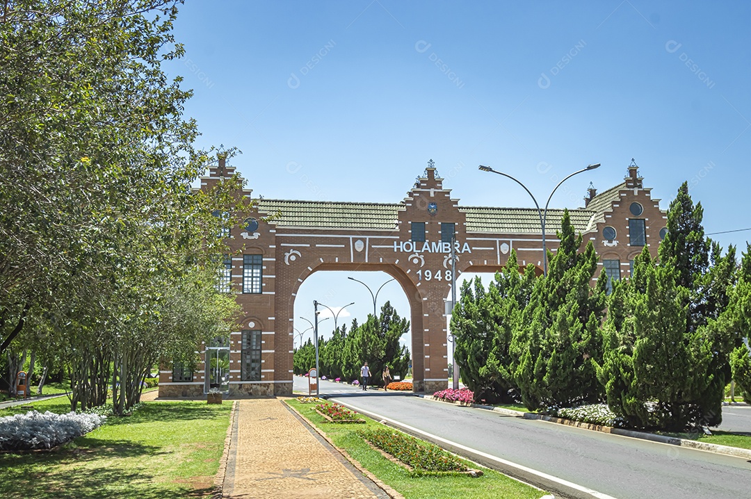Pinheiro de Natal com céu bem azul ao fundo.