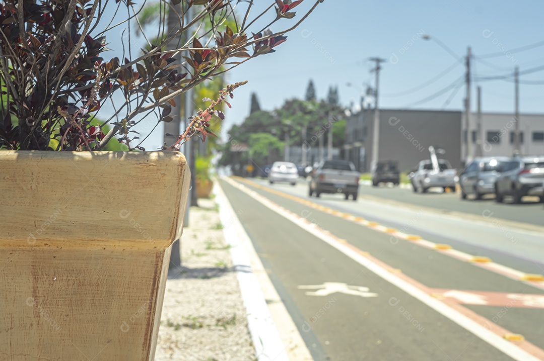 Vaso no meio de uma rua com ciclovia ao lado e espaço destinado a pedestres.