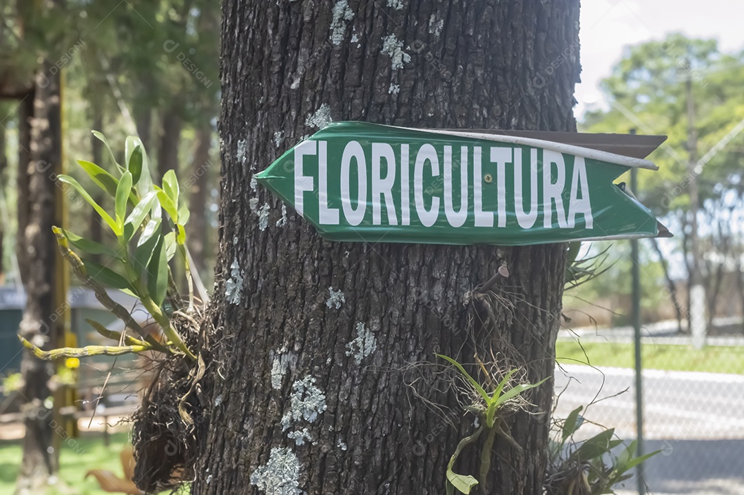 Floricultura sinal escrito floricultura em português