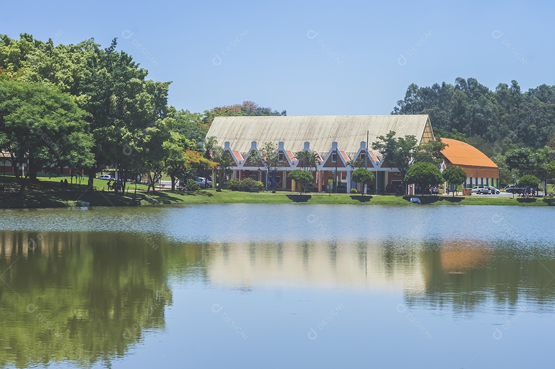 Paisagem com lago, árvore, cisnes e uma casa ao fundo, luz natural.