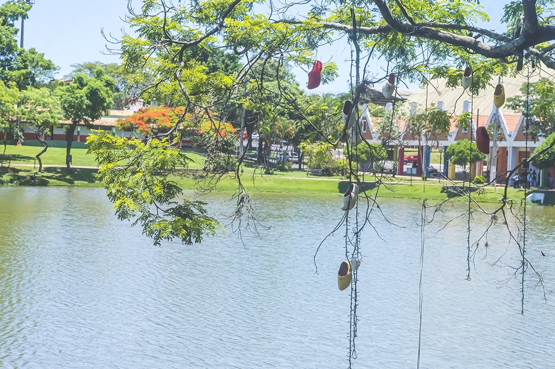 Paisagem com lago, árvore, sapatos pendurados nas árvores e uma casa ao fundo, luz natural do dia.