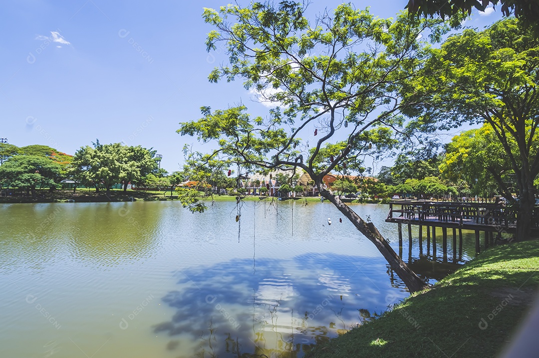Paisagem com lago, árvore, sapatos pendurados nas árvores e uma casa ao fundo, luz natural do dia.
