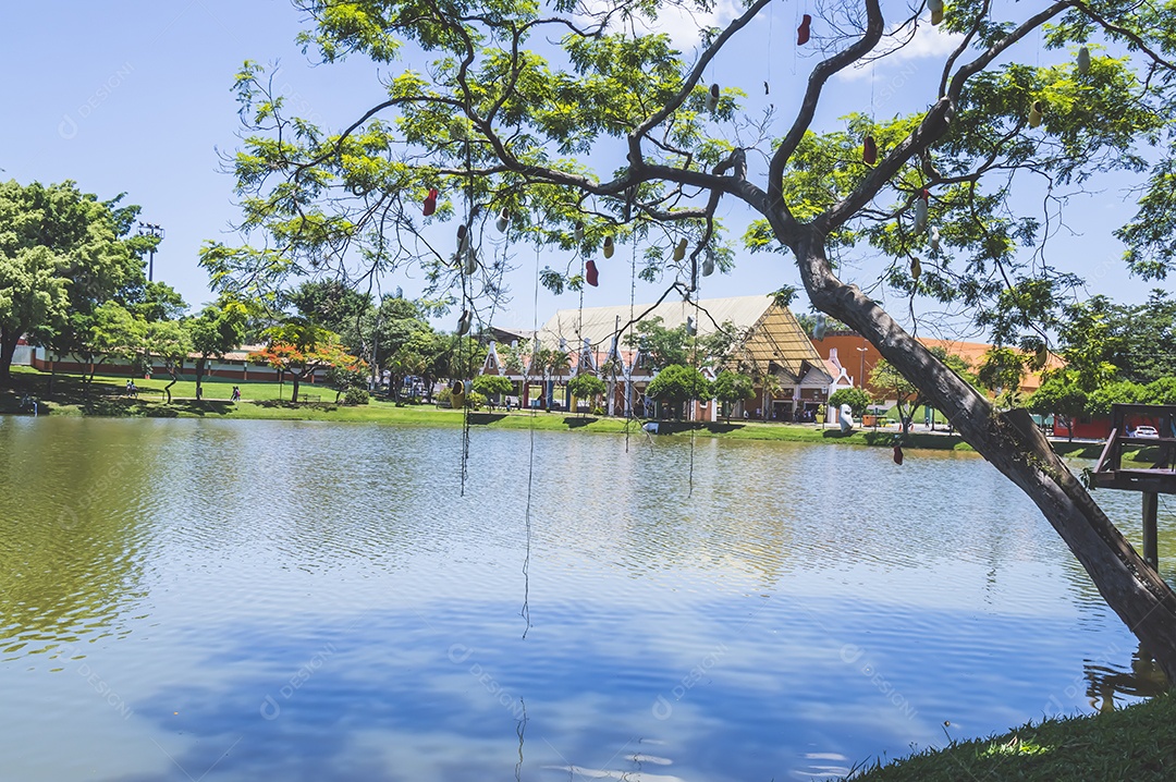 Paisagem com lago, árvore, sapatos pendurados nas árvores e uma casa ao fundo, luz natural do dia.
