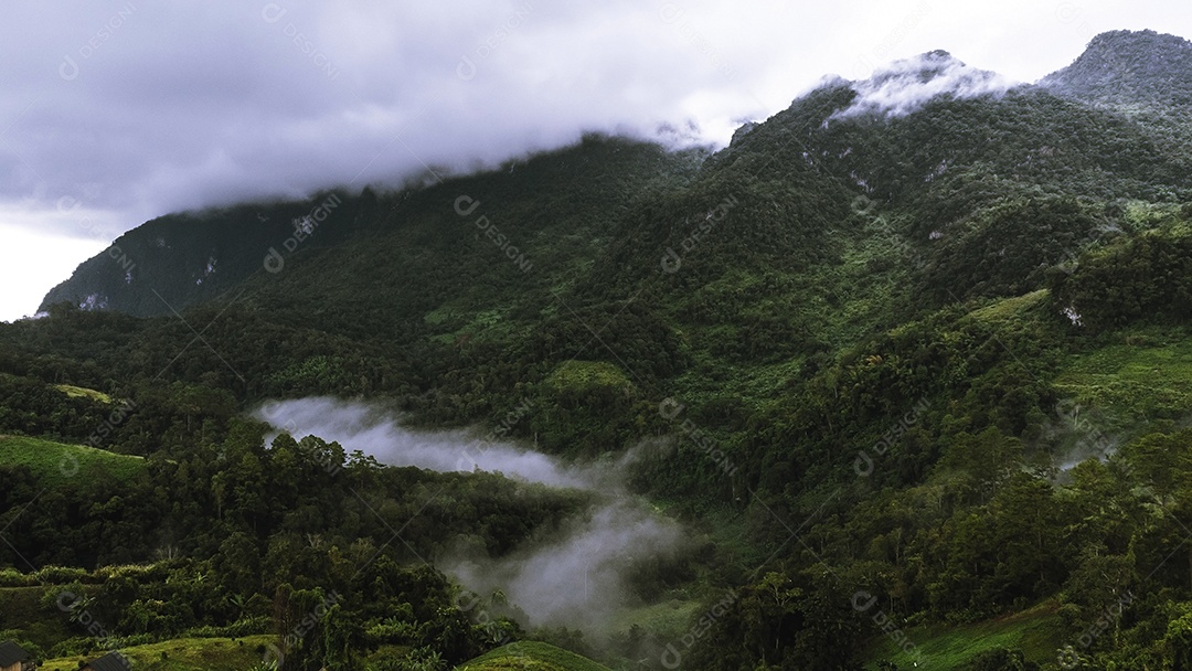 Bela floresta tropical na trilha natural no parque nacional Tailândia