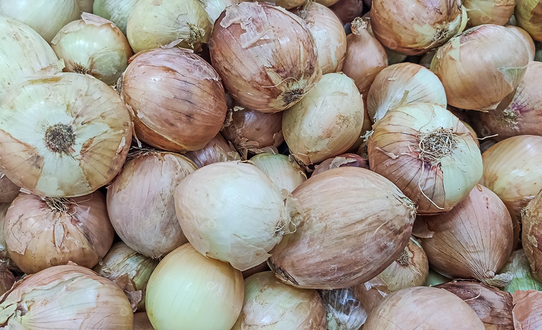 Legumes cebola empilhadas sobre prateleiras