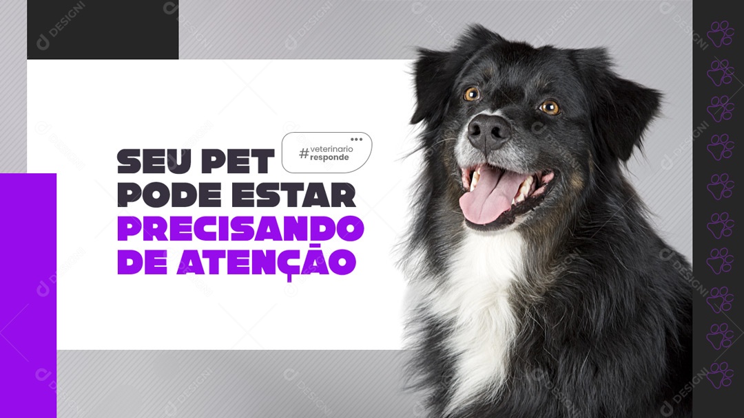 Modelo de Capa do Youtube Thumbnail Pet Shop Veterinário PSD Editável