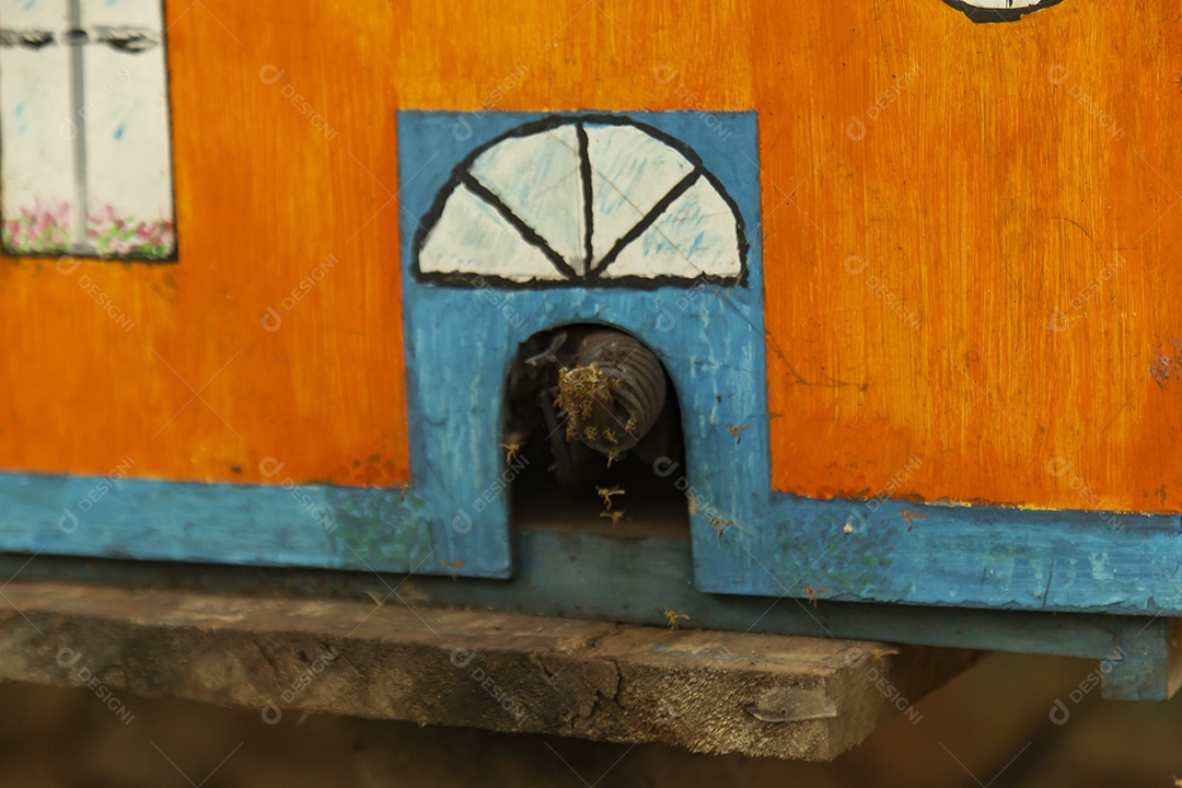 Colmeia sobre zoológico