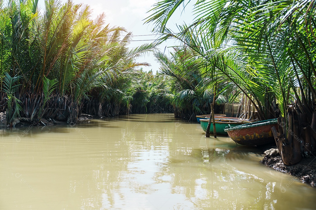 Floresta do rio coco com barcos de cesta, um vietnamita