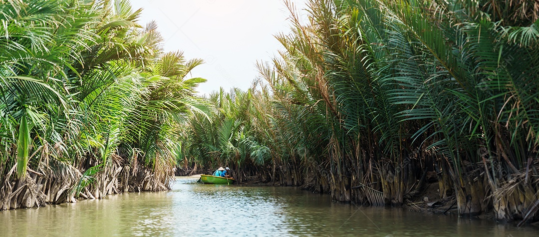 Floresta do rio coco com barcos de cesta, um vietnamita único