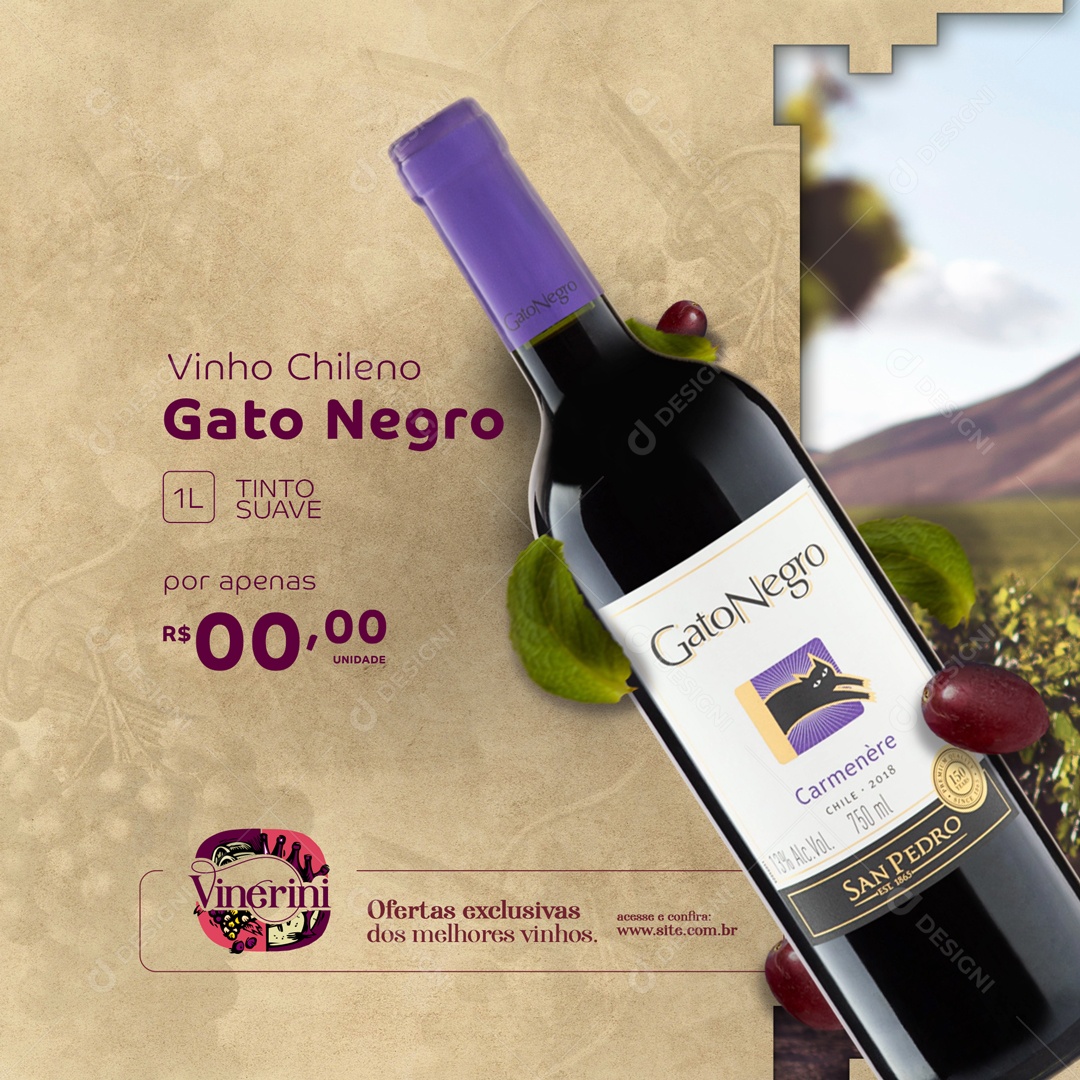 Vinho Chileno Gato Negro Casa de Vinhos Social Media PSD Editável