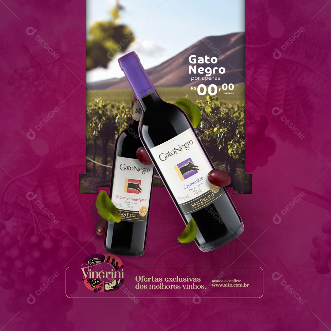 Gato Negro Ofertas Exclusivas Casa de Vinho Social Media PSD Editável