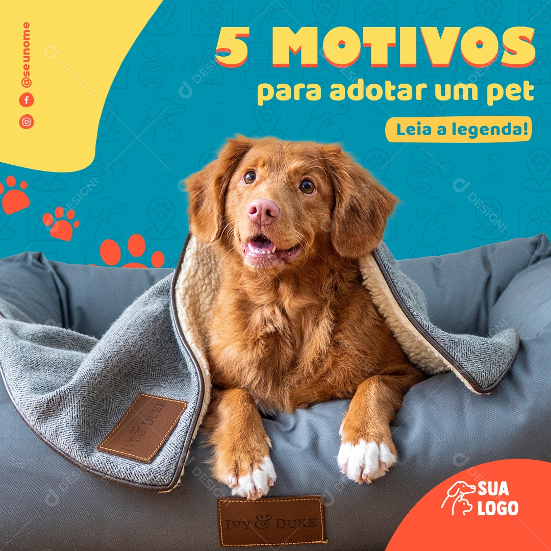 Social Media 5 Motivos Para Adotar Um Pet PSD Editável