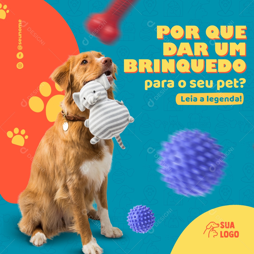 Por Que Dar um Brinquedo Para o Seu Pet Social Media PSD Editável