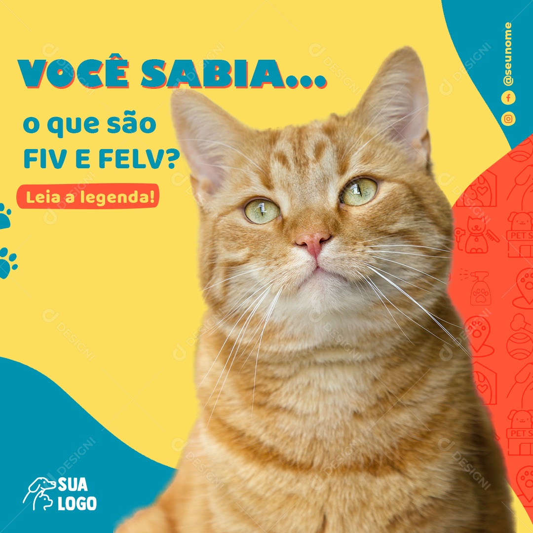 Você Sabia o Que São FIV e FELV Social Media PSD Editável