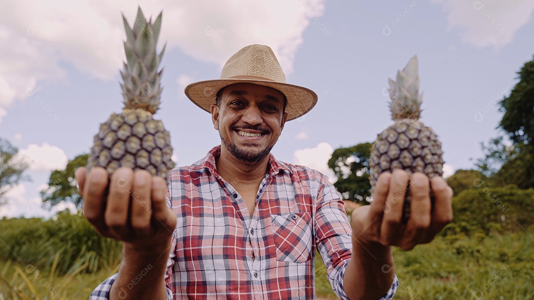Homem segurando abacaxi na fazenda.