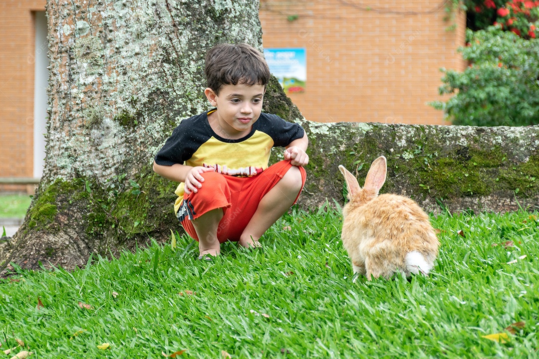 Child petting and playing with a rabbit on summer vacation.