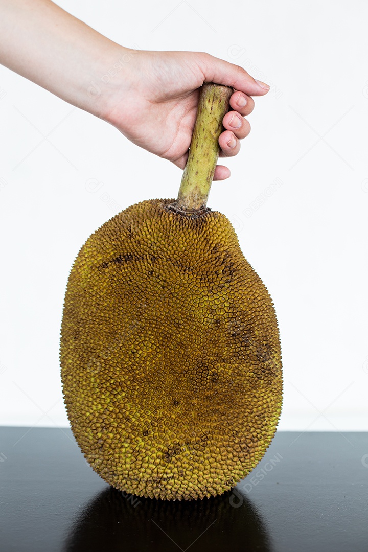 Mãos de pessoa segurando fruta jaca