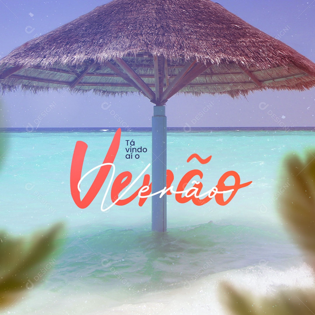 Tá Vindo Aí o Verão Social Media PSD Editável