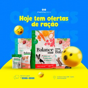 Pack Coleção de 