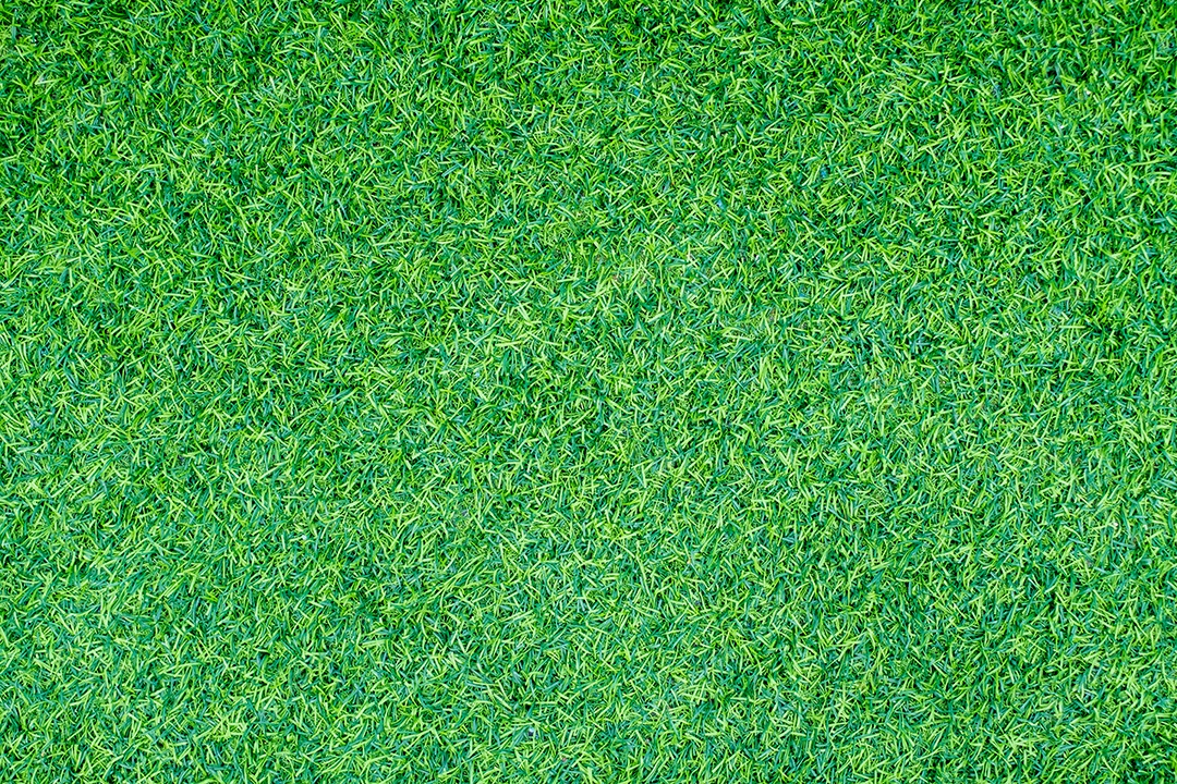 Grama verde. textura de fundo natural. grama verde fresca de primavera.