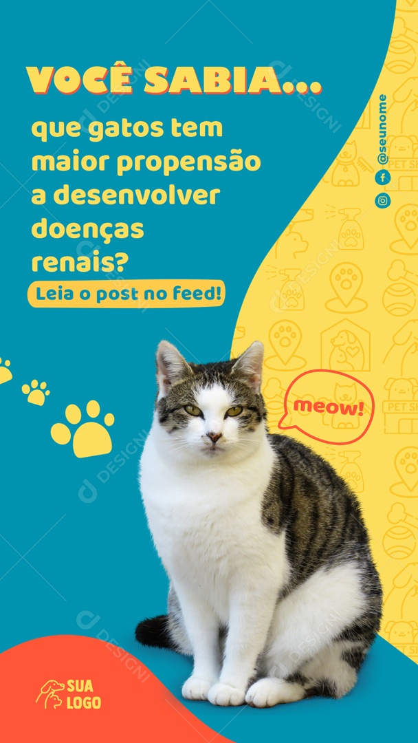 Story Você Sabia Que Gatos Tem Maior Propensão a Desenvolver Doenças Renais Social Media PSD Editável