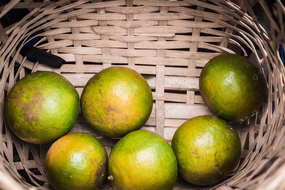 Aproximação tangerina amadurecendo na árvore