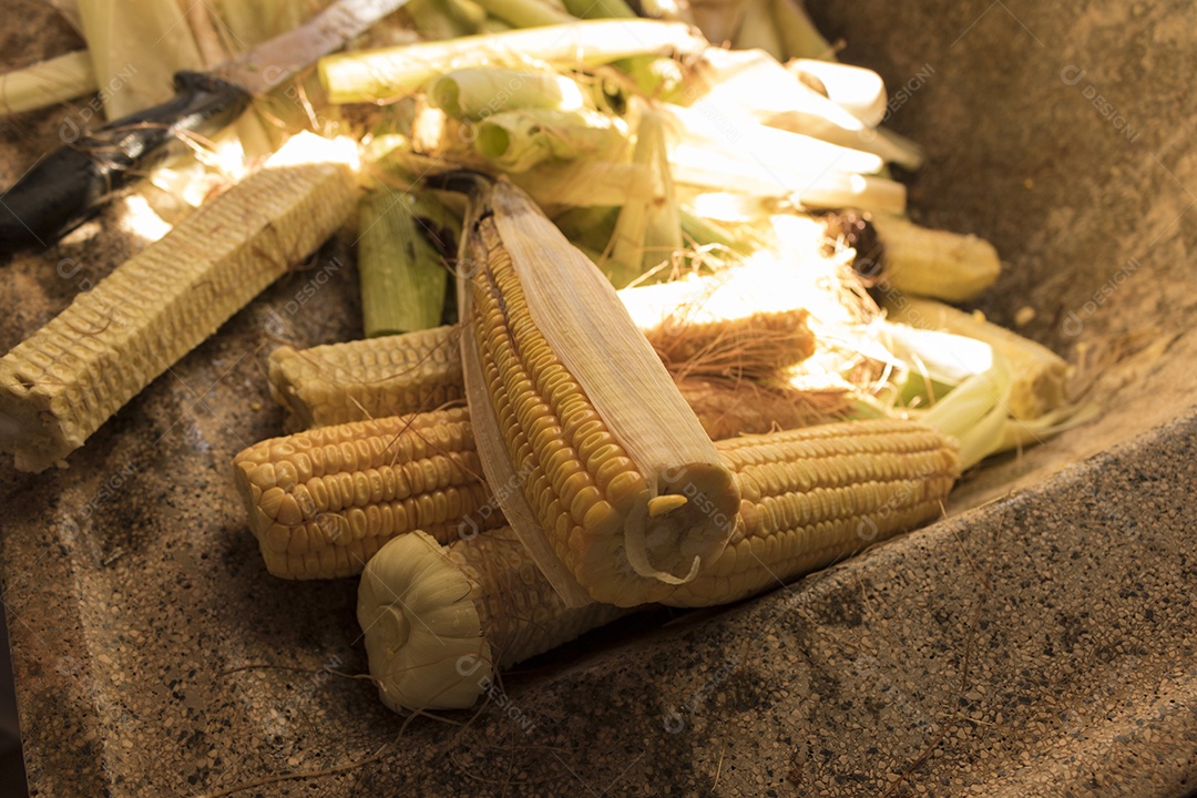 Casa brasileira feita de doce de milho chamado Pamonha. Festa Junina Festa Cultura Brasileira Conceito Imagem.