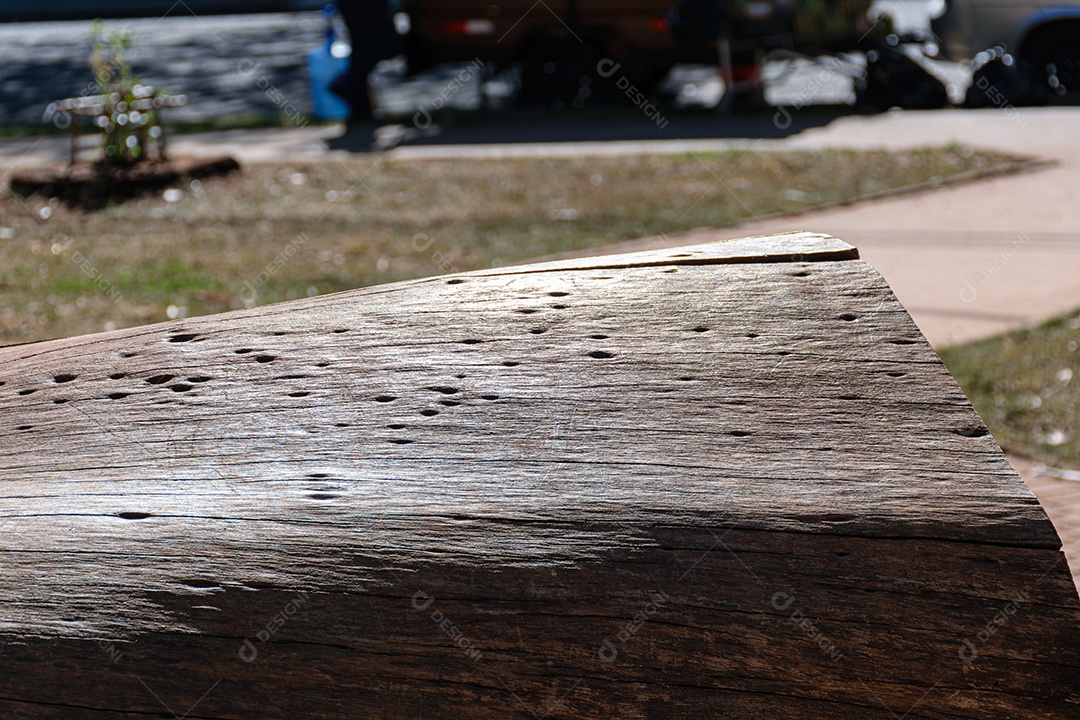 Tronco de árvore no chão sendo iluminado por um raio de sol.