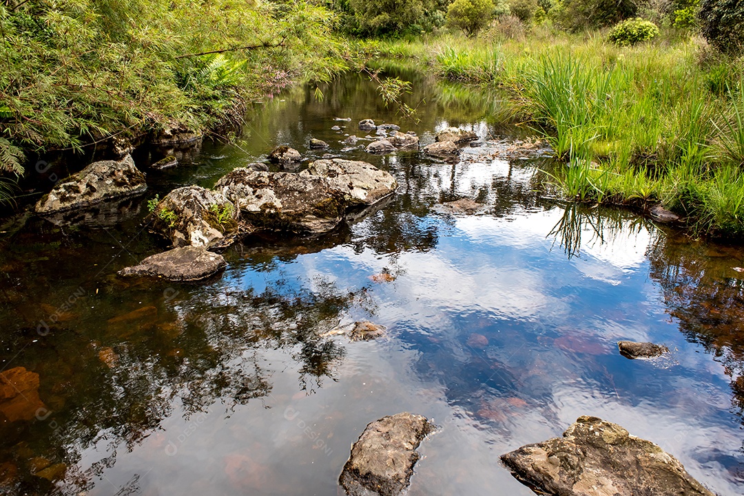 Rio de águas cristalinas no sul do Brasil