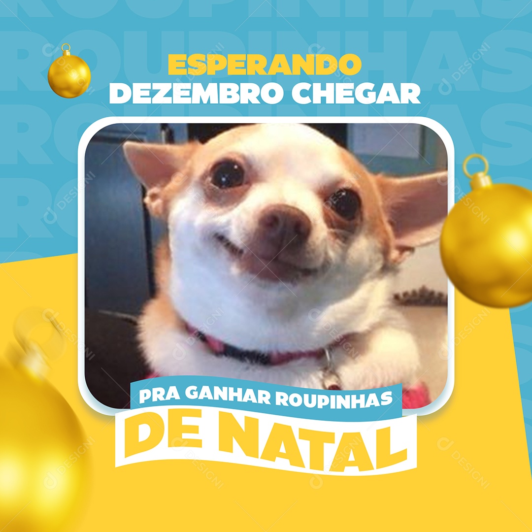 Esperando Dezembro Chegar Meme Pet Shop Social Media PSD Editável