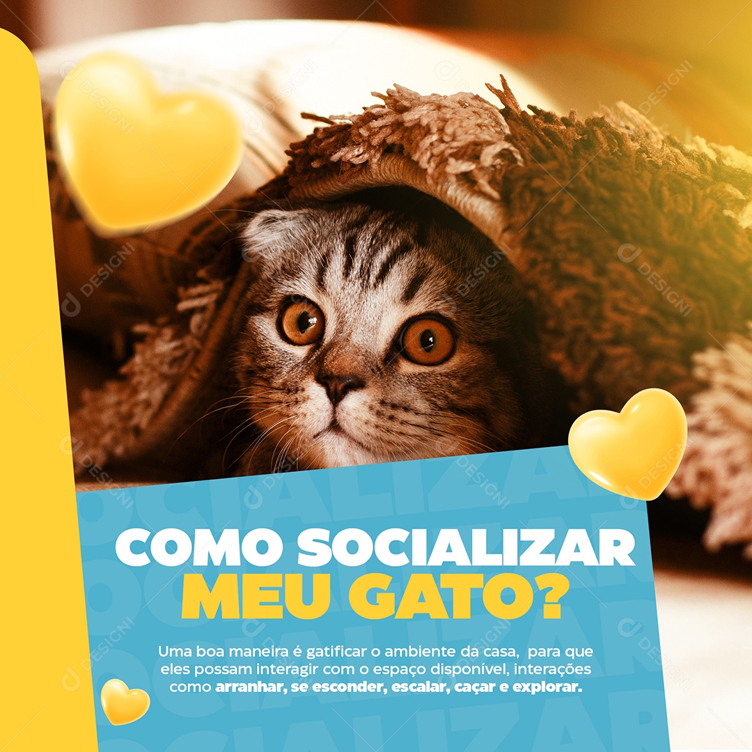 Como Socializar Meu Gato Pet Shop Social Media PSD Editável