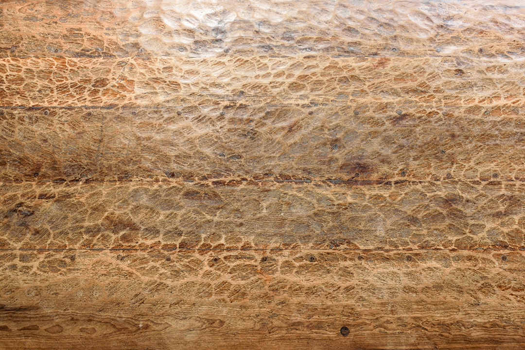 Textura de mesa de madeira com unhas aparentes e marcas de oncinha.