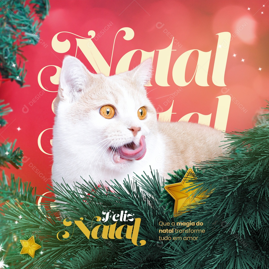 Que a Magia do Natal Transforme Tudo em Amor Feliz Natal Social Media PSD Editável