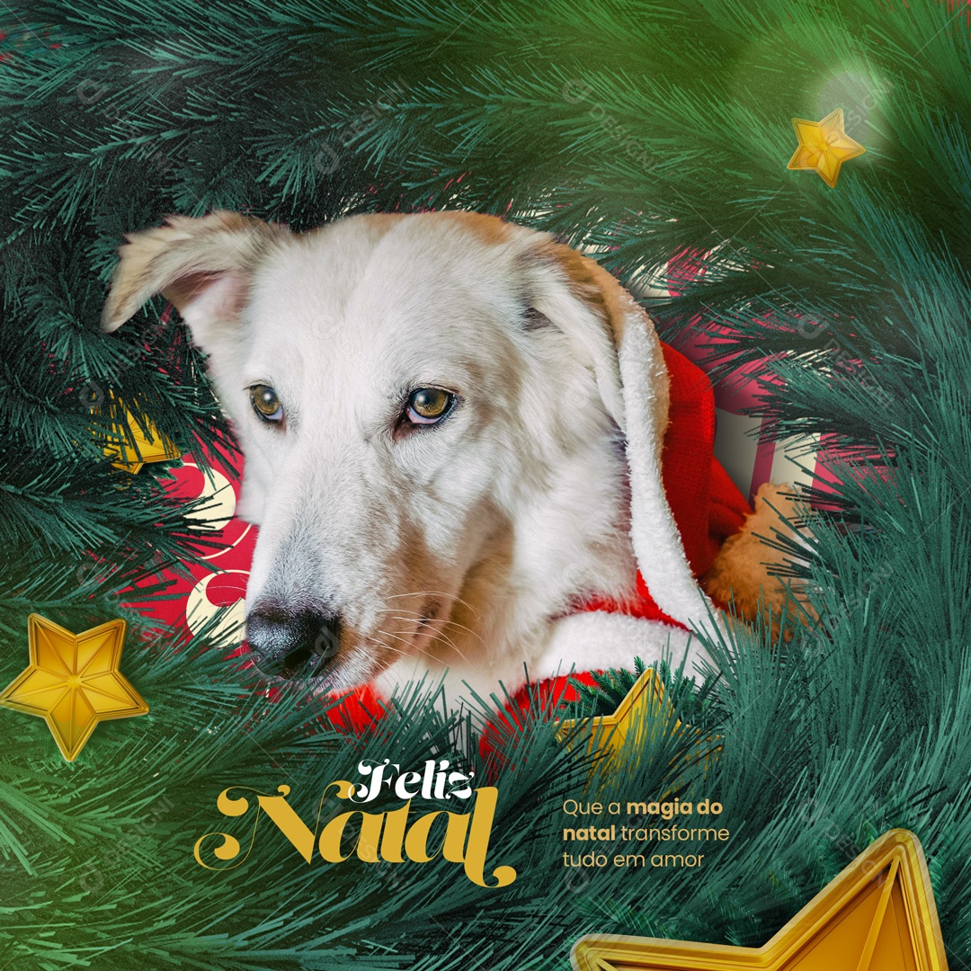 Que a Magia do Natal Transforme Tudo em Amor Feliz Natal Social Media PSD Editável